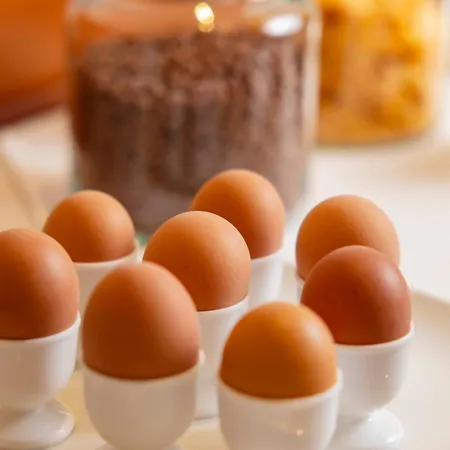 Paola Garden - Nuova Gestione 3* Bellariva Di Rimini